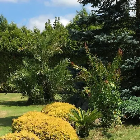 Casa Do Rivera Дом отдыха Коспейто