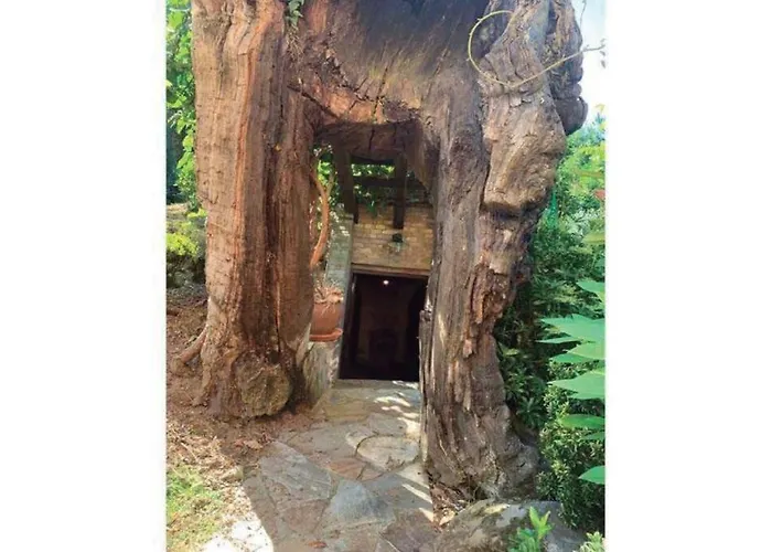 Дом отдыха Casa Do Rivera *